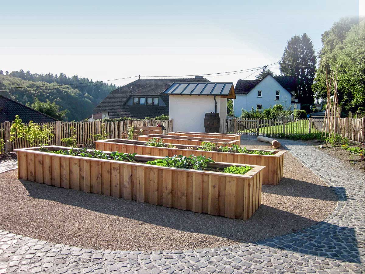 Schulgarten mit angebauten Pflanzen